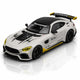 *PRE-ORDER* *HEC 2026* Darwin Pro AMG GT, 1:64 Scale